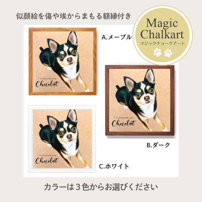 愛犬の誕生日特集 | わんメイド | わんメイド